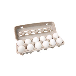 import placeholder for 4591