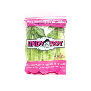 import placeholder for 4601